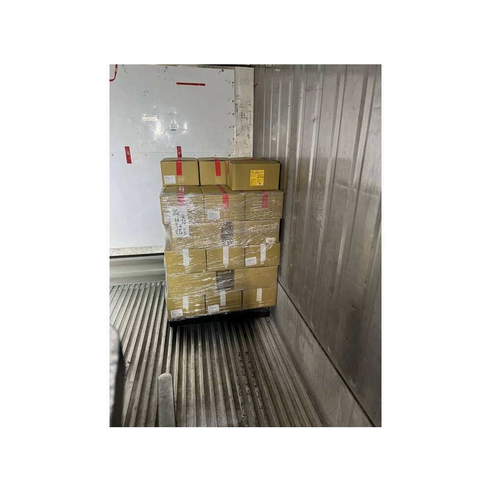 frozen conainer p1.jpg